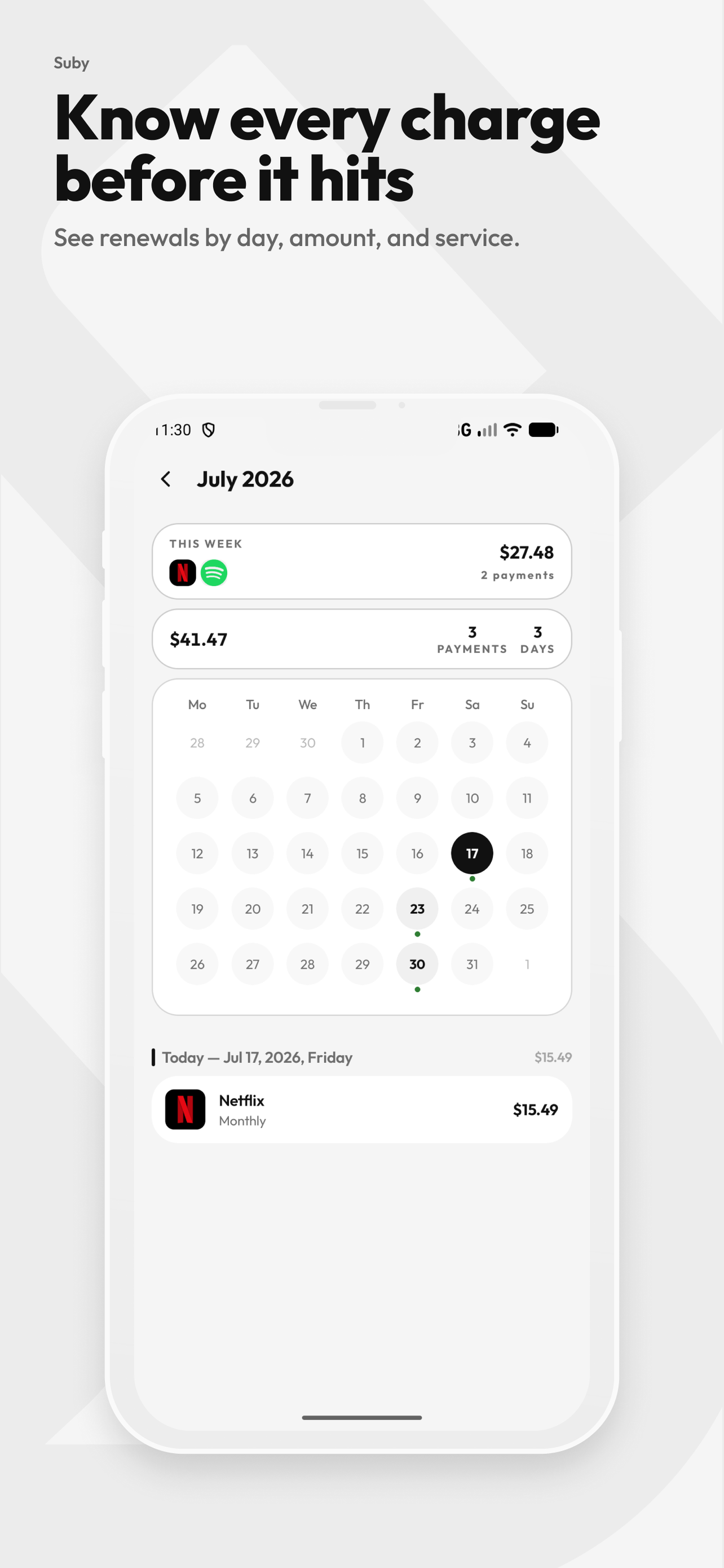 Payment calendar with every renewal marked on its day